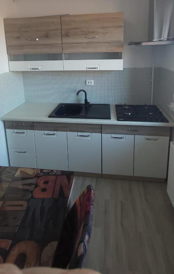 דירות Caransebeş Studio Elisa מראה חיצוני תמונה