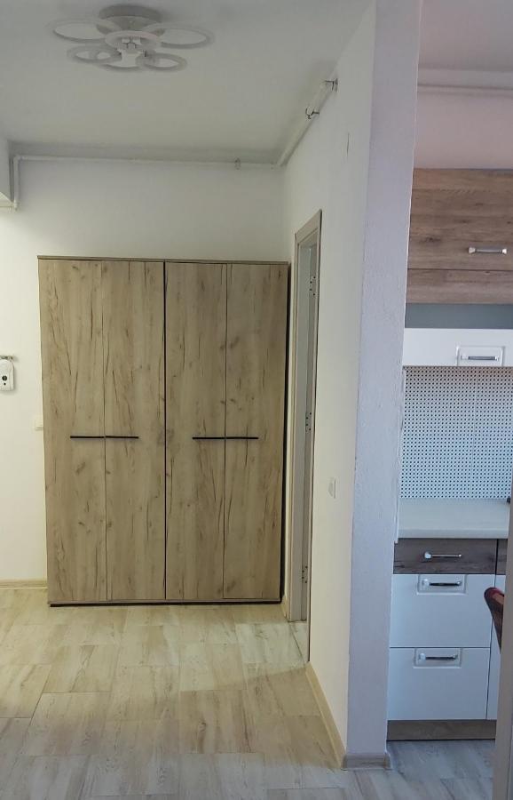 דירות Caransebeş Studio Elisa מראה חיצוני תמונה