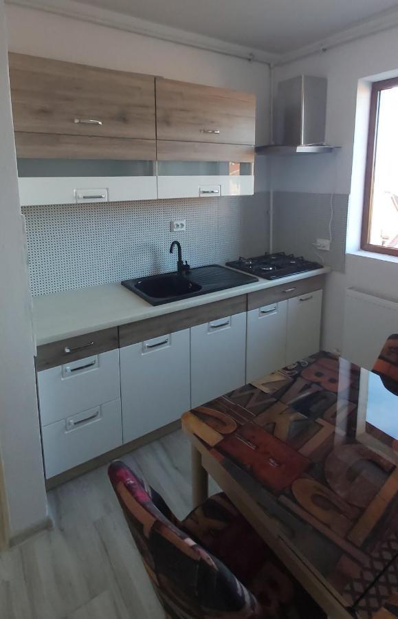 דירות Caransebeş Studio Elisa מראה חיצוני תמונה