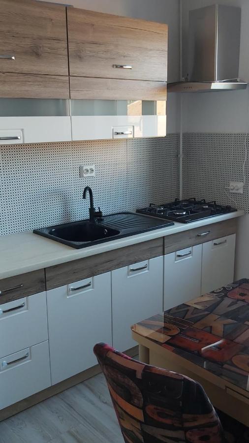 דירות Caransebeş Studio Elisa מראה חיצוני תמונה