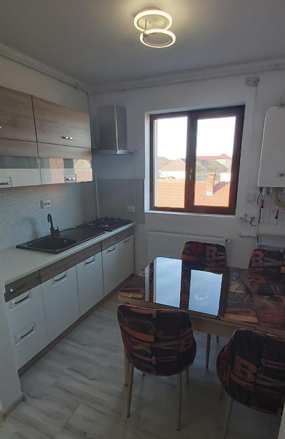 דירות Caransebeş Studio Elisa מראה חיצוני תמונה